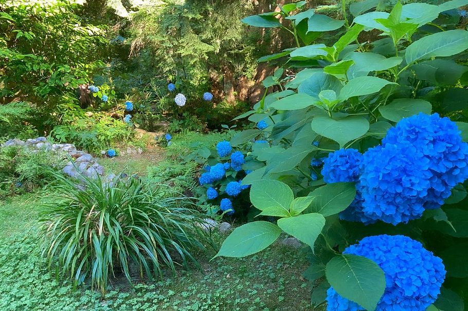 26 Brighton Beach North Vancouver, BC - 33