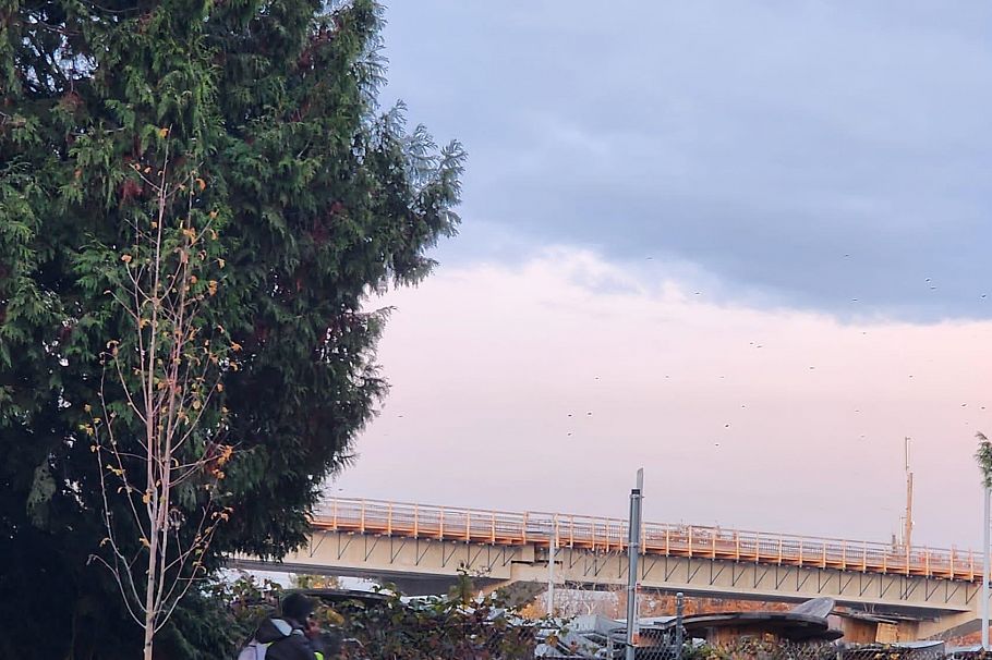 409 774 GREAT NORTHREN WAY, Vancouver BC V5T 1E1 Vancouver, BC - 17