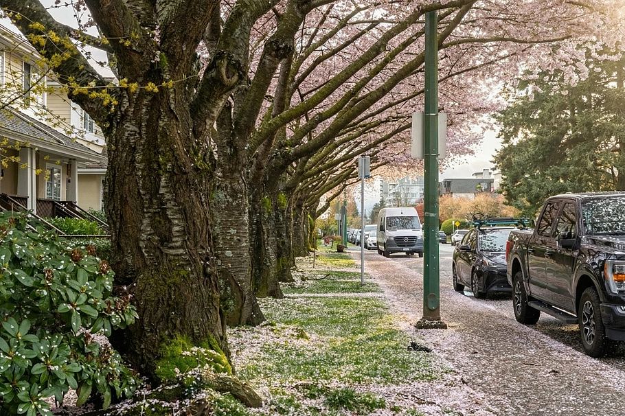 261 E 4th Street North Vancouver, BC - 37