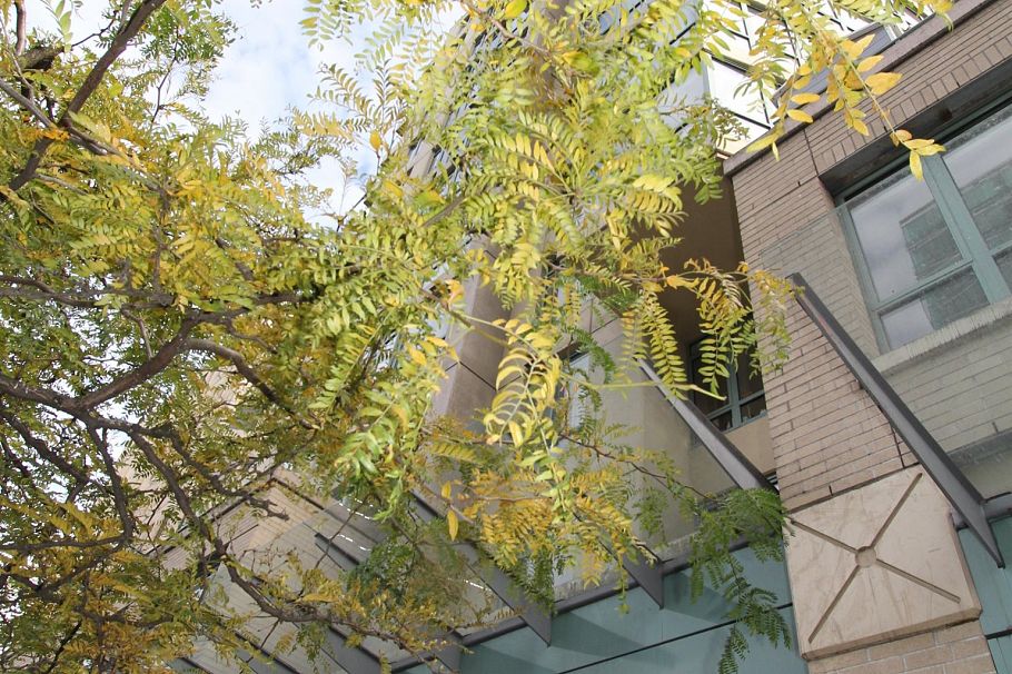 705 1238 Burrard 3638 WEST 35TH AVE STREET, Vancouver BC V6Z 1Z1 Vancouver, BC - 1