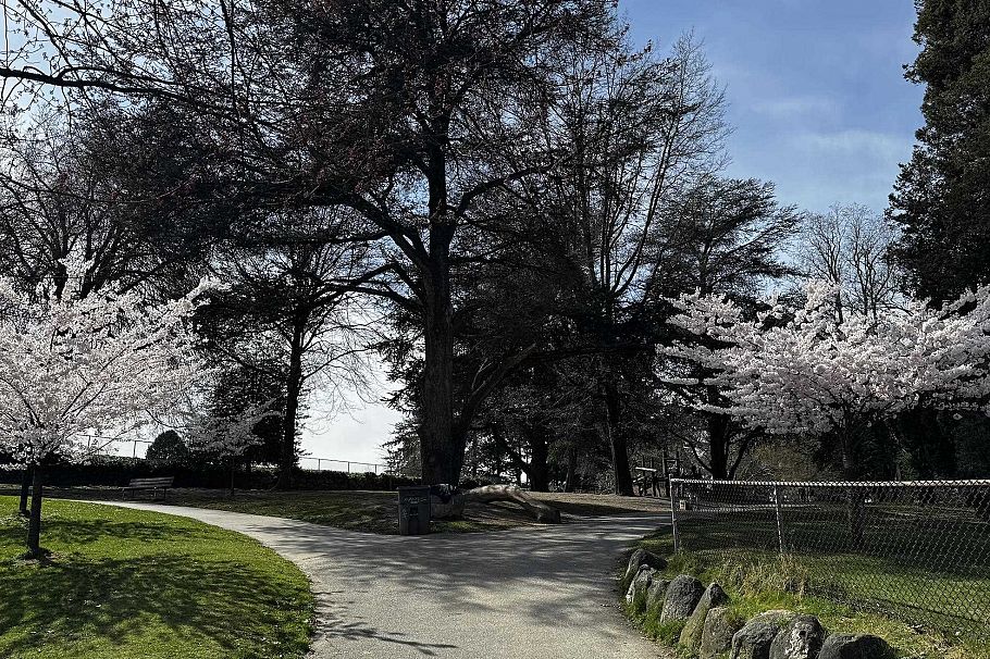 PH-8 1689 13th Avenue Vancouver, BC - 32