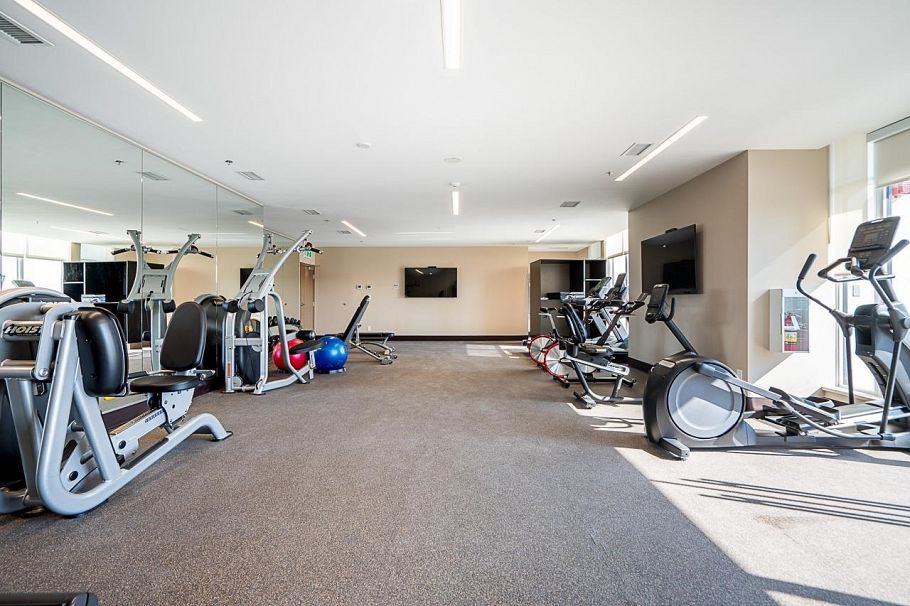 3010 2181 MADISON AVENUE, Burnaby BC V5C 0N4 Burnaby, BC - 2