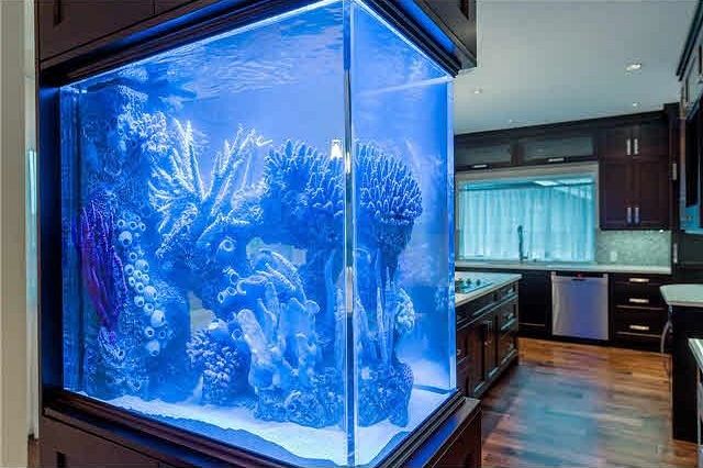 839 W 20th Street North Vancouver, BC - 15