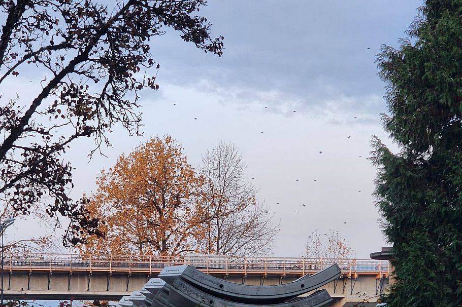 409 774 GREAT NORTHREN WAY, Vancouver BC V5T 1E1 Vancouver, BC - 16