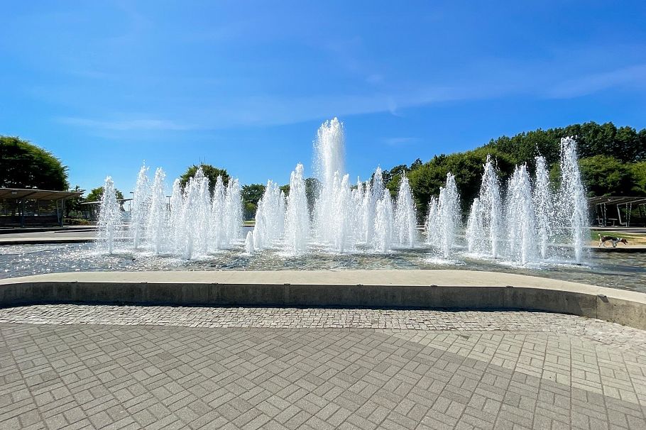 219 W 42nd Avenue Vancouver, BC - 28