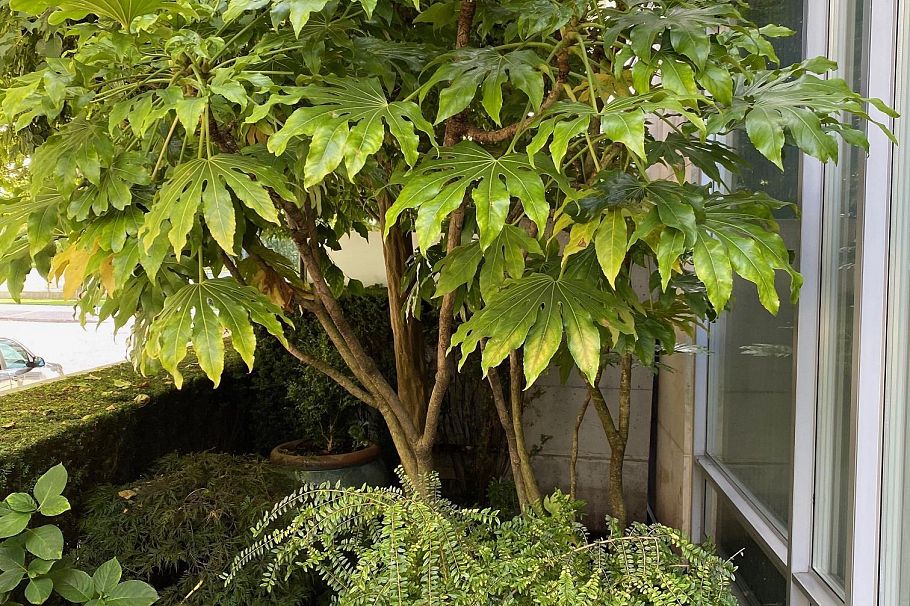 410 Beach Crescent Vancouver, BC - 35