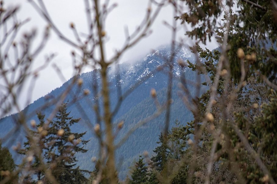 515 119 W 22nd Street North Vancouver, BC - 29