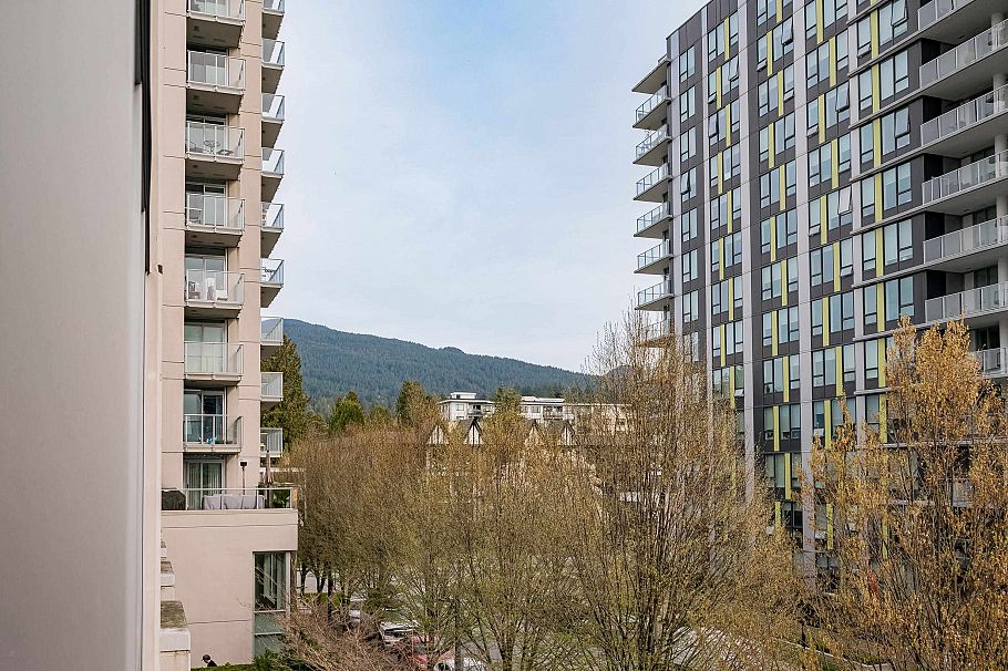 319 135 E 17th Street North Vancouver, BC - 27