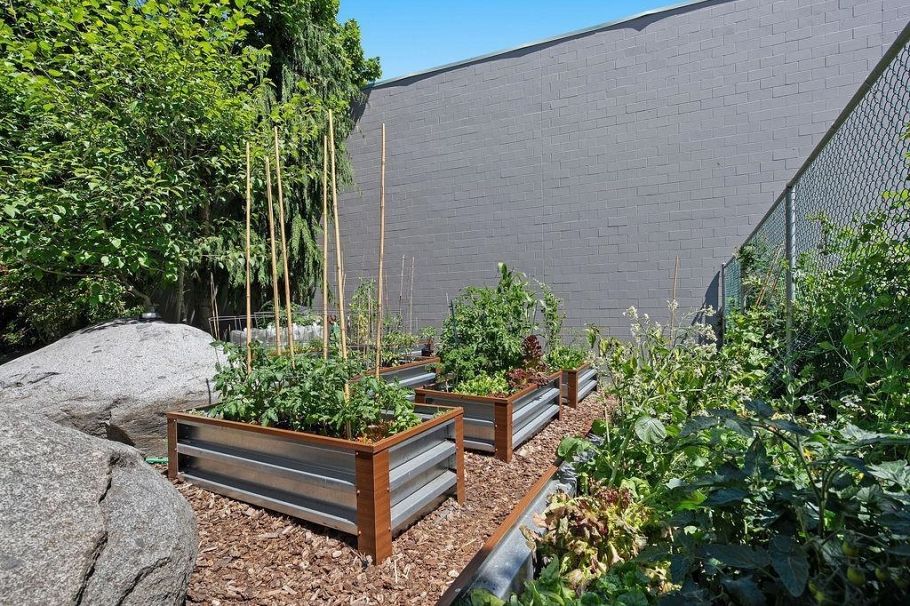 1105 4132 Halifax Street Burnaby, BC - 38