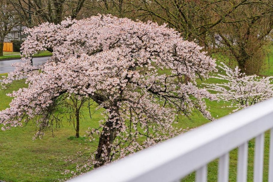 5681 Killarney Street Vancouver, BC - 34