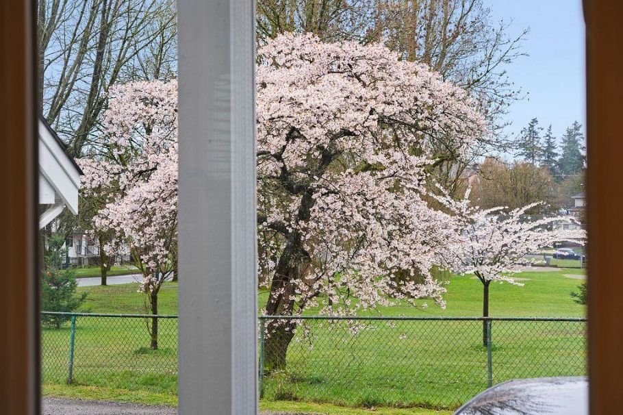 5681 Killarney Street Vancouver, BC - 29