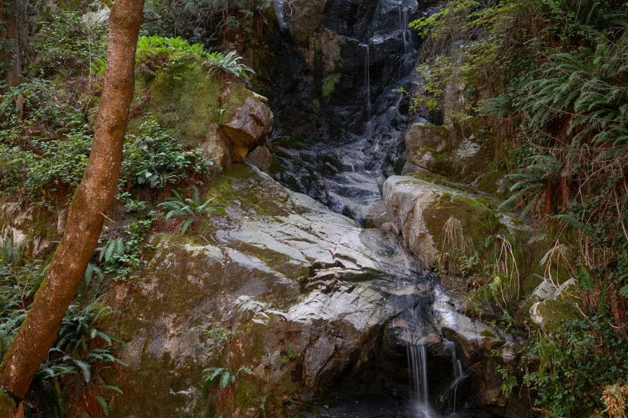 5439 Indian River Drive North Vancouver, BC - 34