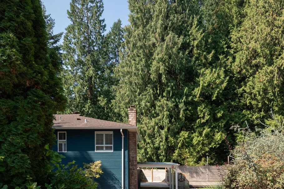 5439 Indian River Drive North Vancouver, BC - 18