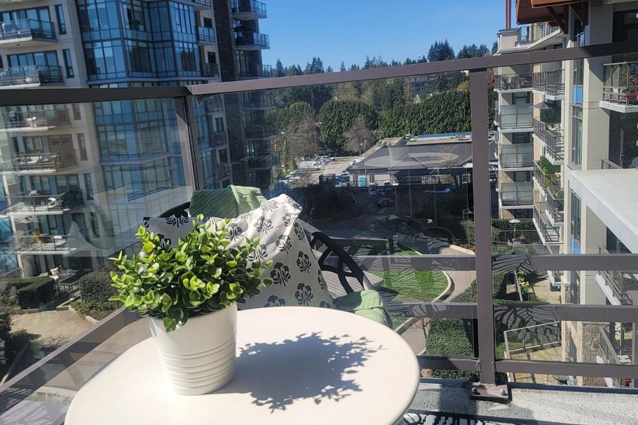 608 2785 Library Lane North Vancouver, BC - 14