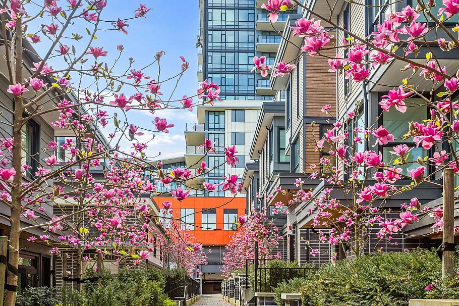 3973 Fleming Street Vancouver, BC - 24