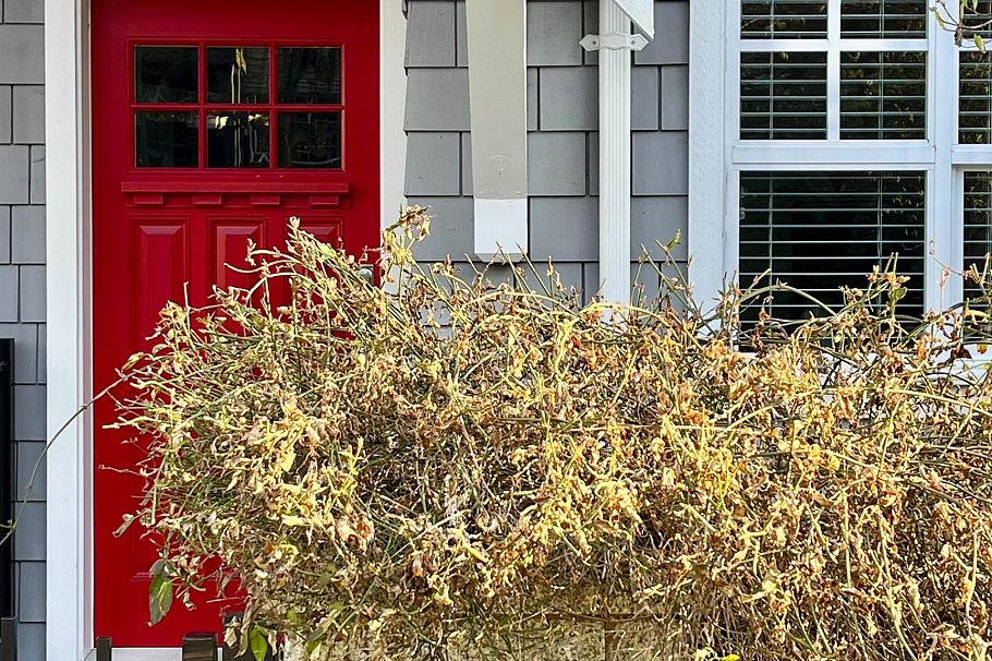 922 W 15th Avenue Vancouver, BC - 3