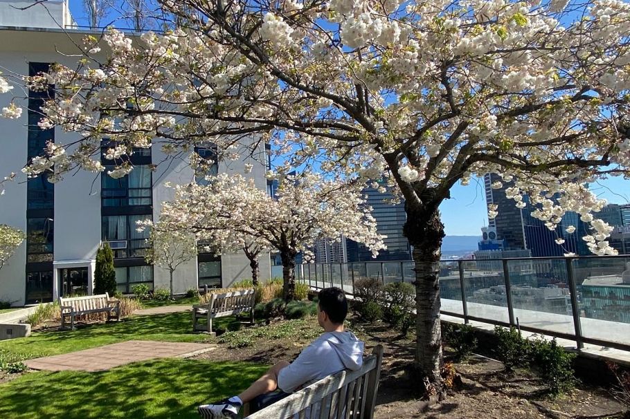 2205 938 Smithe Street Vancouver, BC - 35