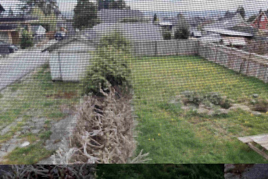 535 E 8th Street North Vancouver, BC - 3