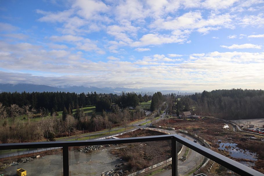 1410 5380 Crooked Branch Road Vancouver, BC - 23