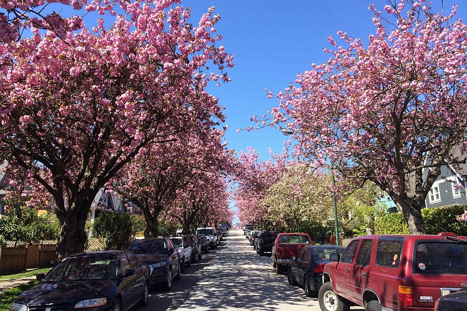 723 E 12th Avenue Vancouver, BC - 38