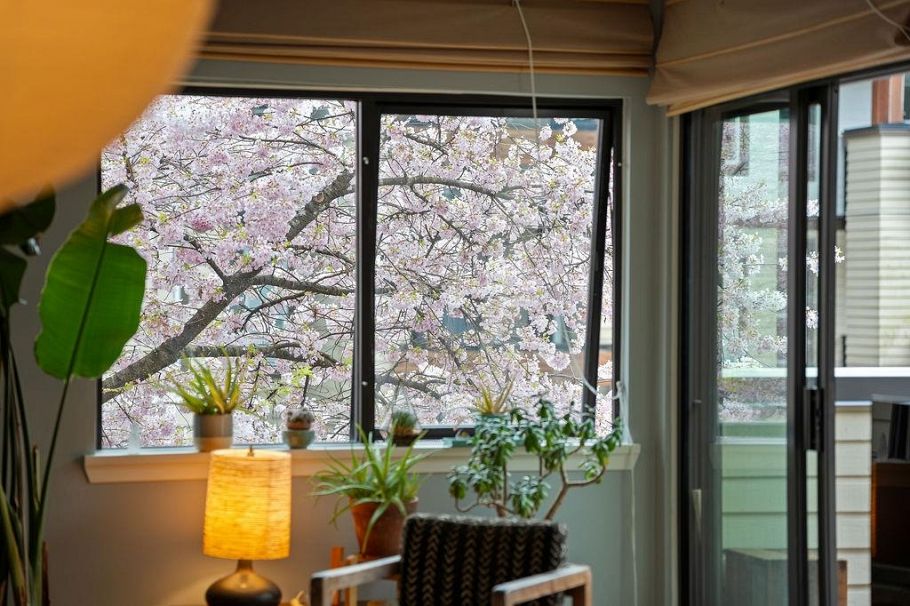 305 3275 Mountain Highway North Vancouver, BC - 7