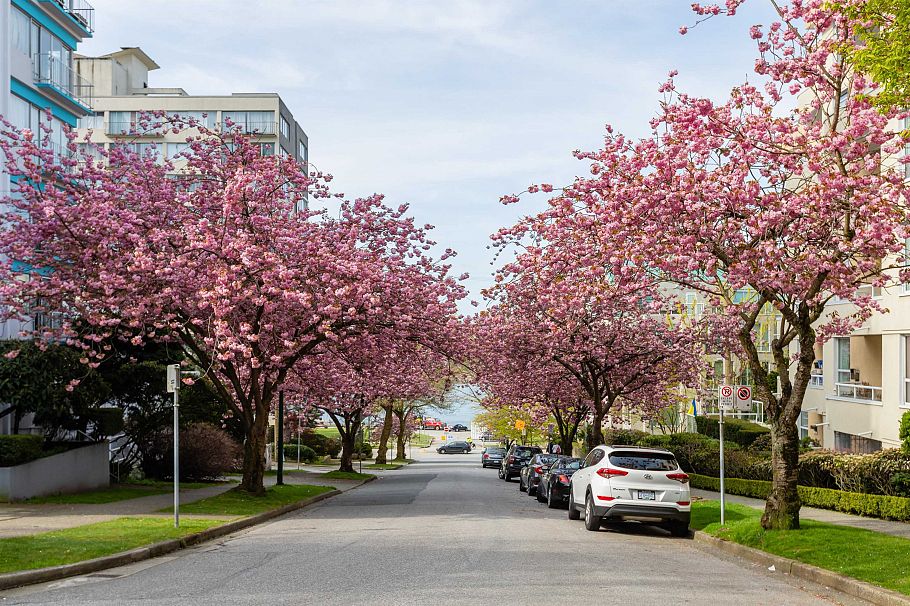 302 1406 Harwood Street Vancouver, BC - 27