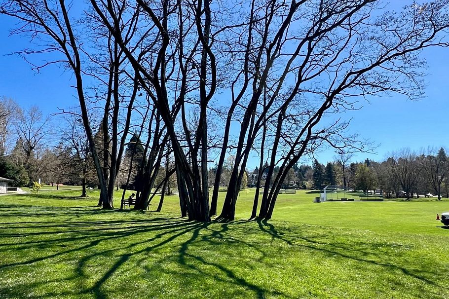 1314 4655 Valley Drive Vancouver, BC - 19