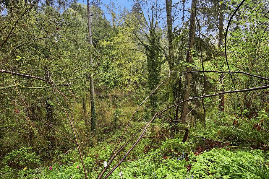 1852 Larson Road North Vancouver, BC - 35