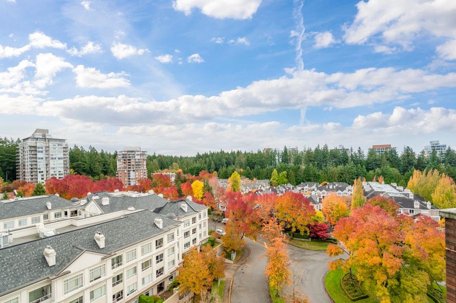 1204 5775 Hampton Place Vancouver, BC - 25