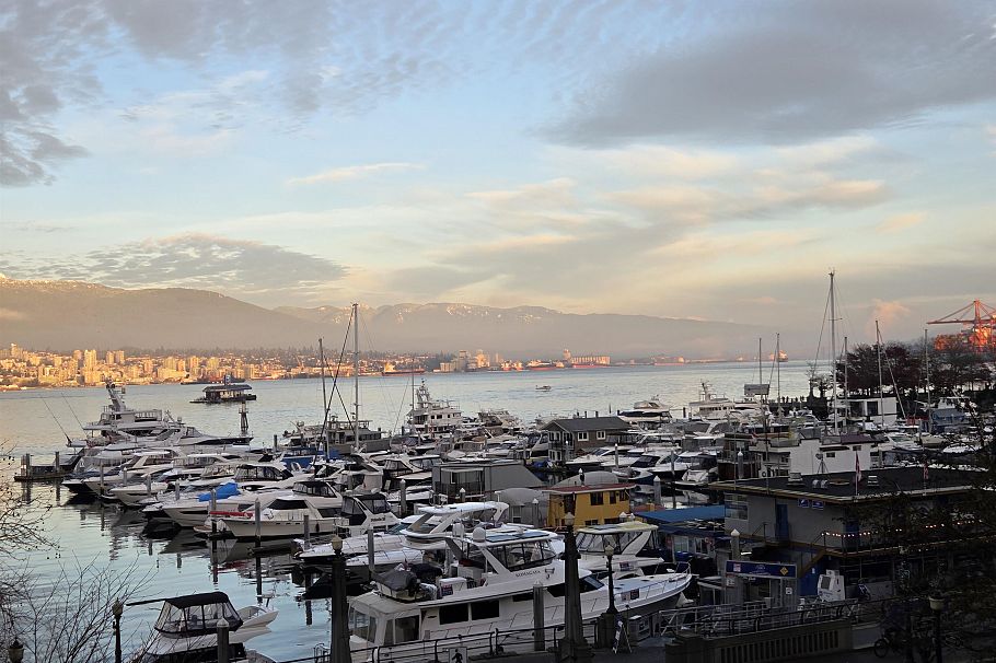 405 535 Nicola Street Vancouver, BC - 4