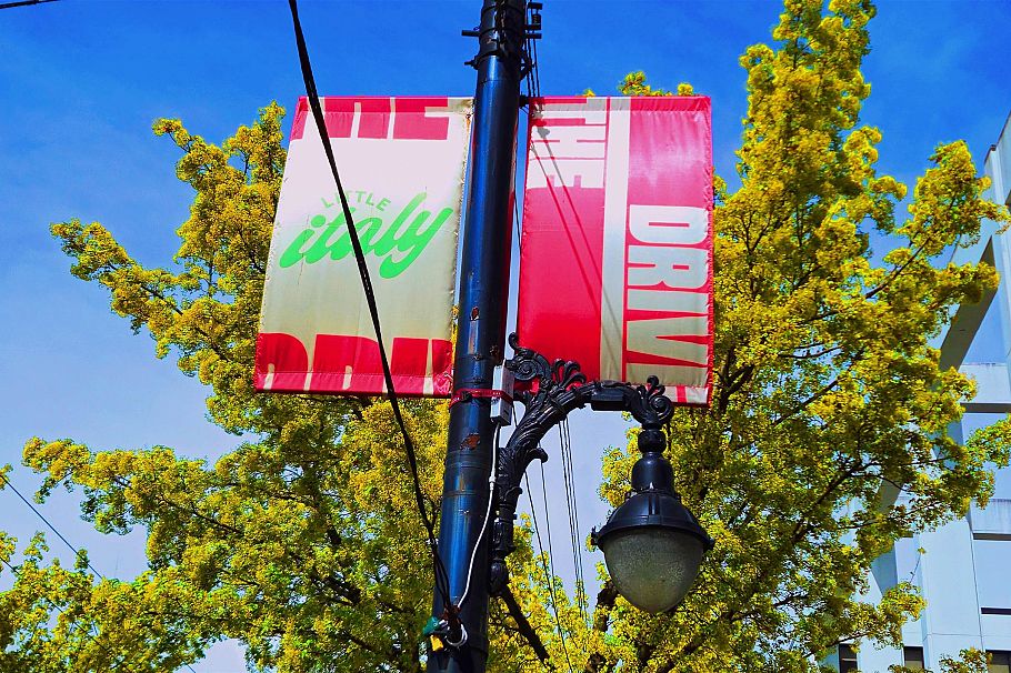 1745 Graveley Street Vancouver, BC - 37