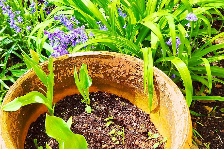 1745 Graveley Street Vancouver, BC - 26