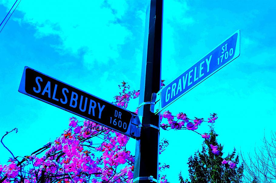 1745 Graveley Street Vancouver, BC - 33