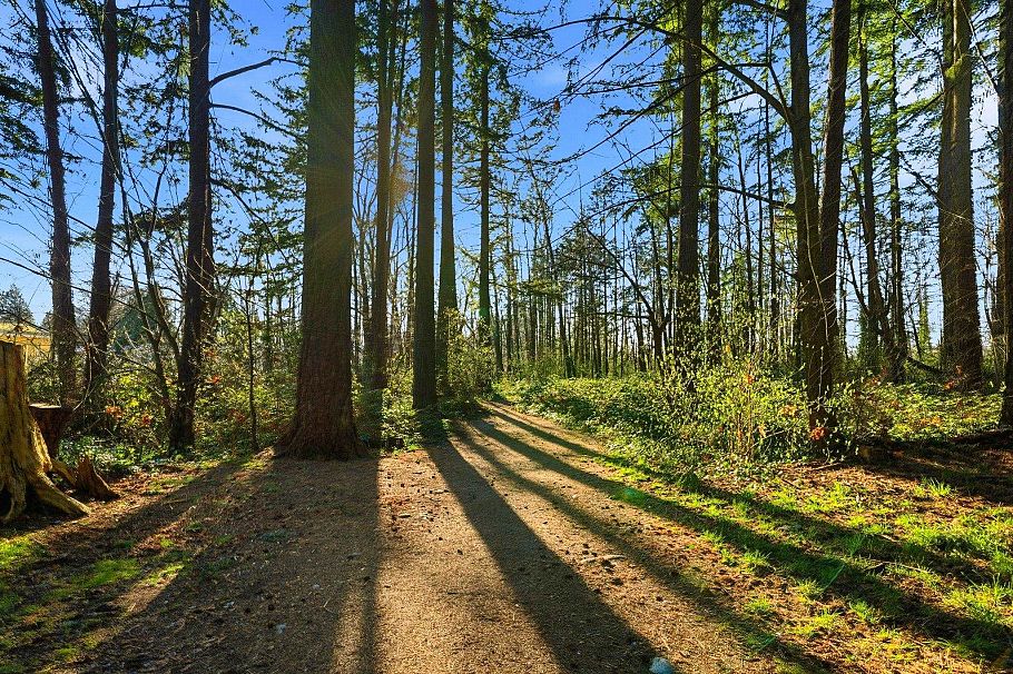 54 433 Seymour River Place North Vancouver, BC - 7