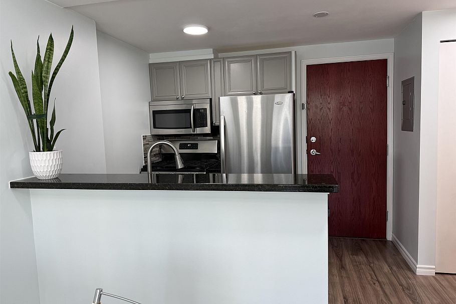 502 928 Richards Street Vancouver, BC - 4