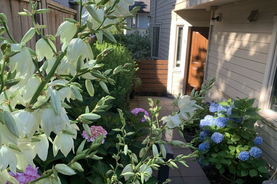 9 215 E 4th Street North Vancouver, BC - 26