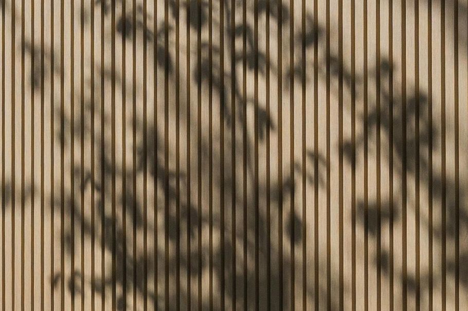 3679 St Catherines Street Vancouver, BC - 21