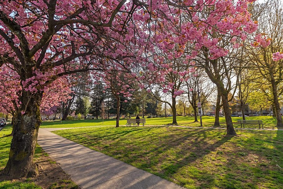 10 2223 Prince Edward Street Vancouver, BC - 23