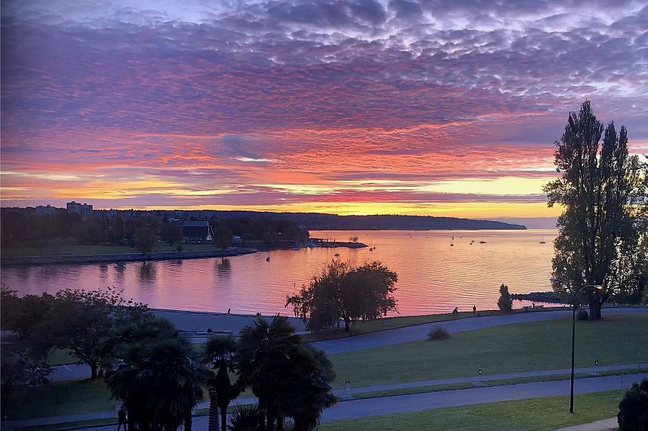 306 1311 Beach Avenue Vancouver, BC - 3