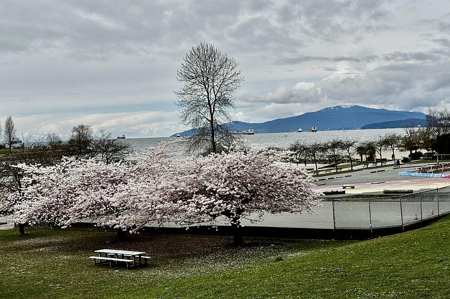 806 1005 Beach Avenue Vancouver, BC - 30