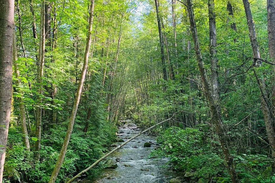 103 735 W 15th Street North Vancouver, BC - 32