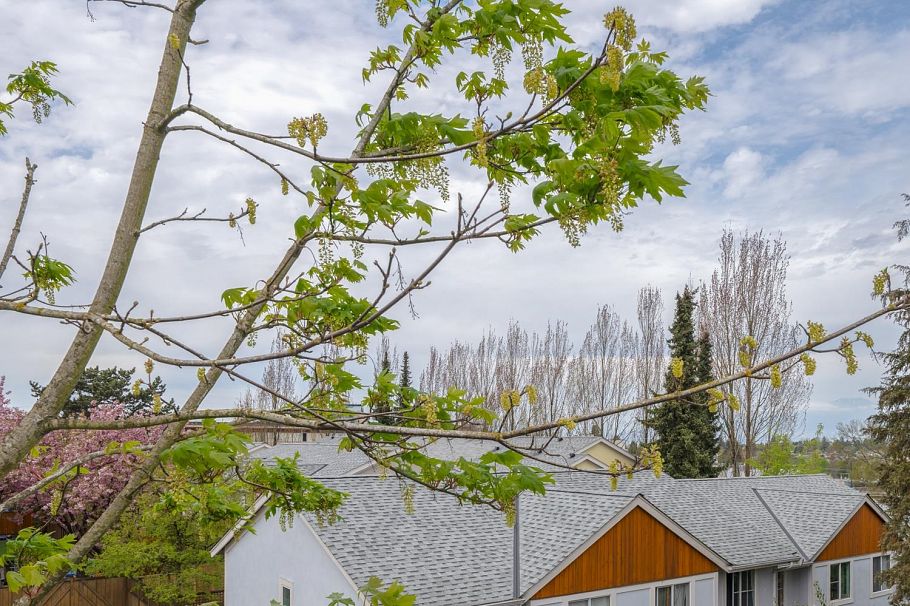 D 3439 E 43rd Avenue Vancouver, BC - 10