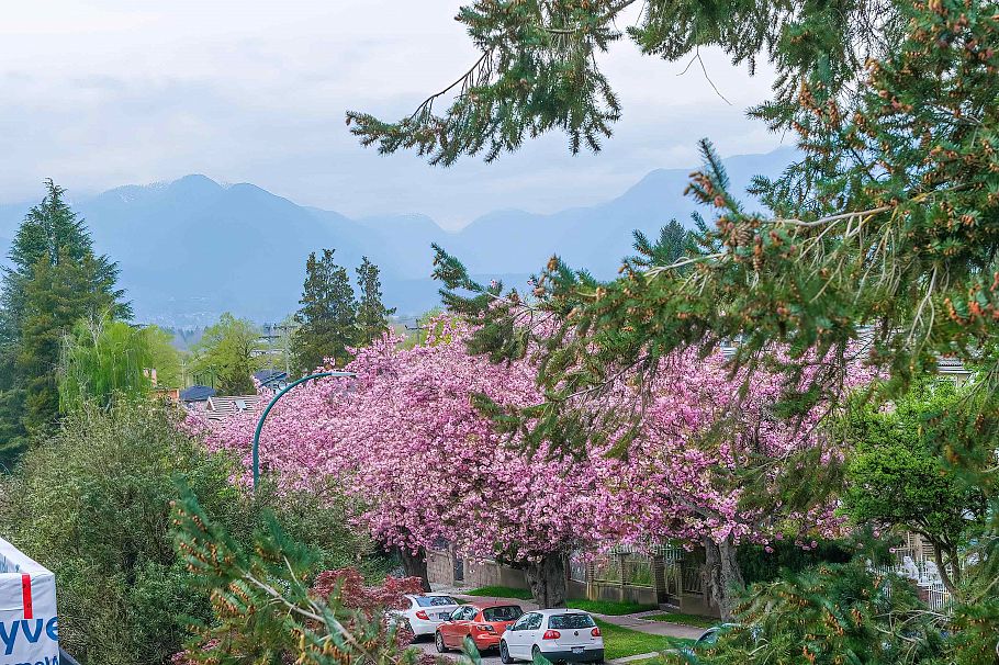 2 5595 Fleming Street Vancouver, BC - 27