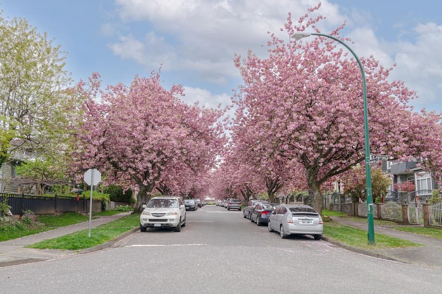 D 3439 E 43rd Avenue Vancouver, BC - 8