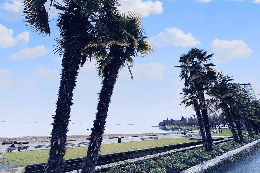 1103 1221 Bidwell Street Vancouver, BC - 28