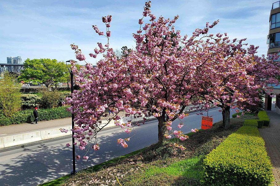 103 1470 Pennyfarthing Drive Vancouver, BC - 7