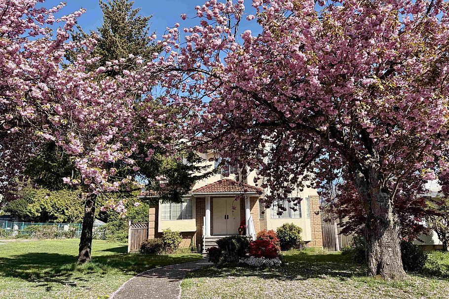 8110 Osler Street Vancouver, BC - 3