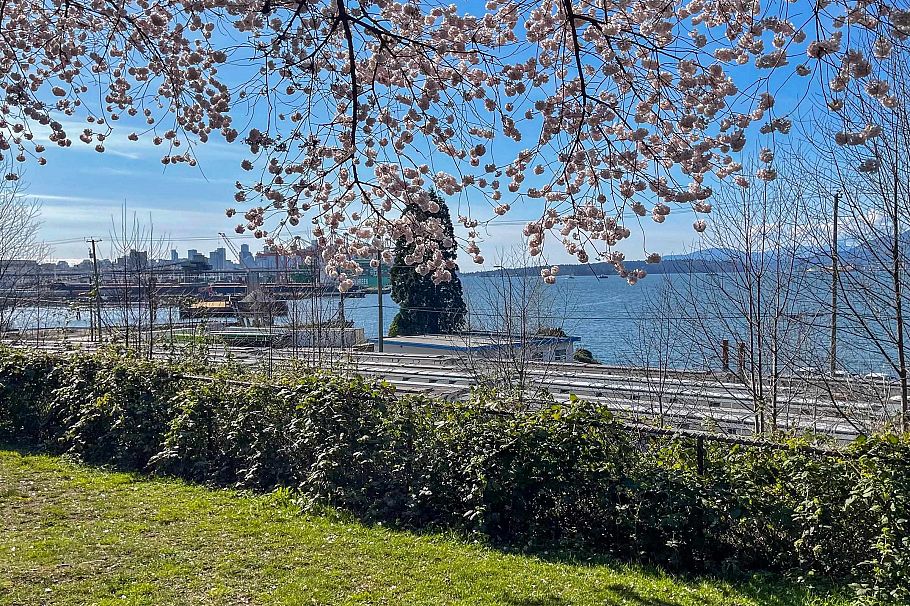 302 2215 Mcgill Street Vancouver, BC - 31