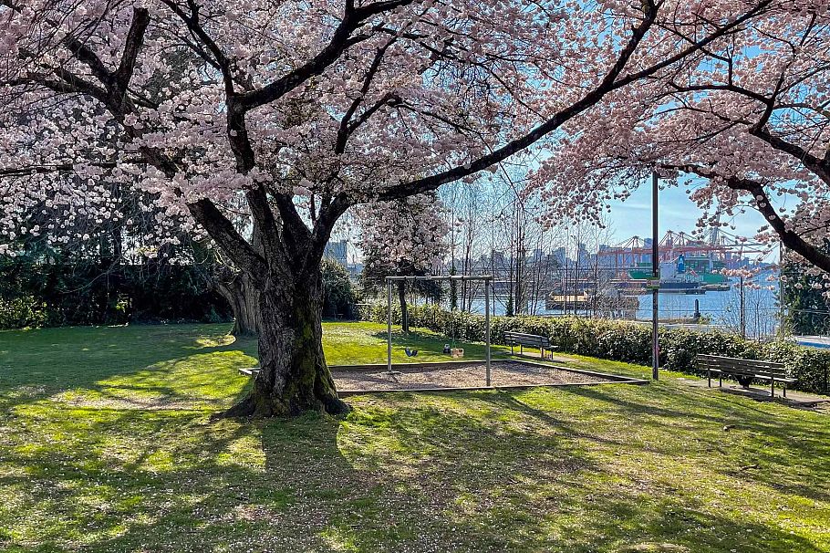 302 2215 Mcgill Street Vancouver, BC - 30