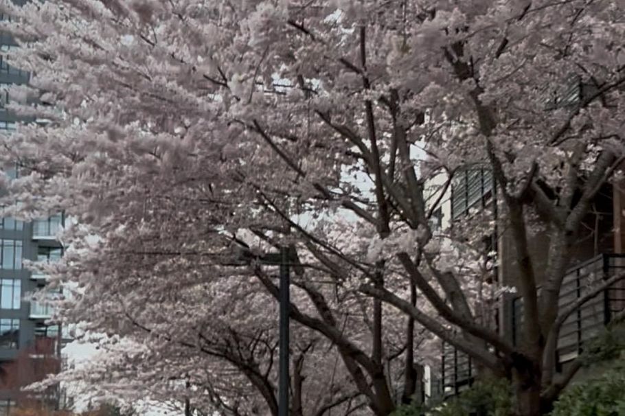 212 6033 Gray Avenue Vancouver, BC - 17